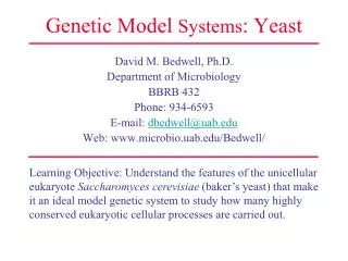 Genetic Model Systems : Yeast