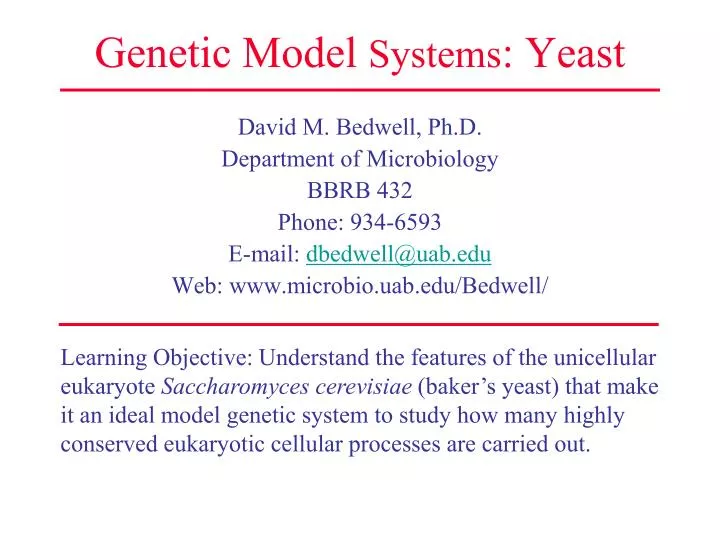 genetic model systems yeast
