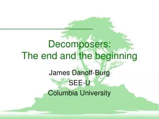 Decomposers: The end and the beginning