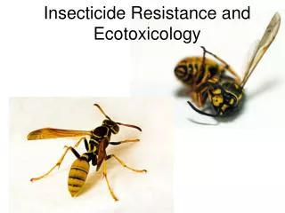 Insecticide Resistance and Ecotoxicology