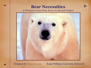 Bear Necessities A WebQuest about Polar Bears for Second Graders