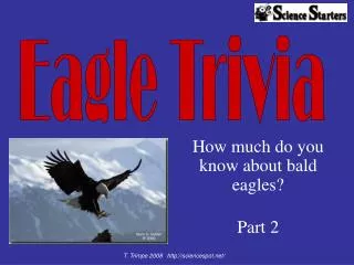 How much do you know about bald eagles? Part 2