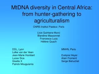 MtDNA diversity in Central Africa: from hunter-gathering to agriculturalism