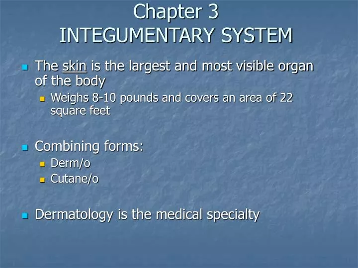 chapter 3 integumentary system