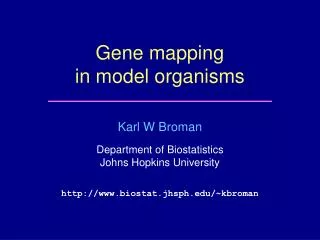 Gene mapping in model organisms