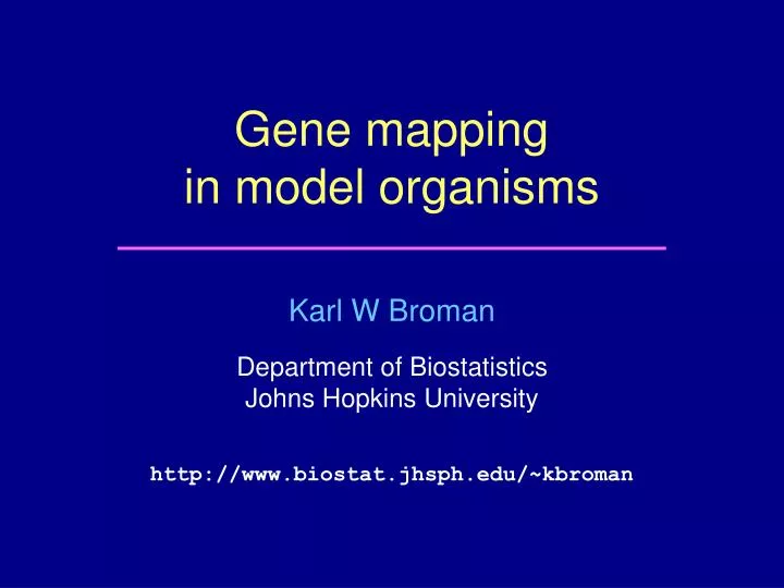 gene mapping in model organisms