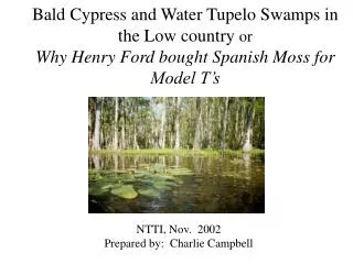 Bald Cypress and Water Tupelo Swamps in the Low country or Why Henry Ford bought Spanish Moss for Model T’s