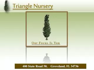 Triangle Nursery