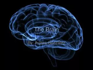 The Brain Aulora G.