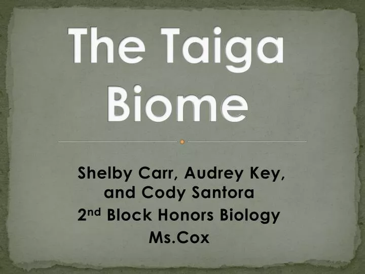 the taiga biome