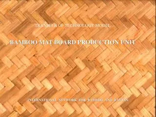 TRANSFER OF TECHNOLOGY MODEL BAMBOO MAT BOARD PRODUCTION UNIT