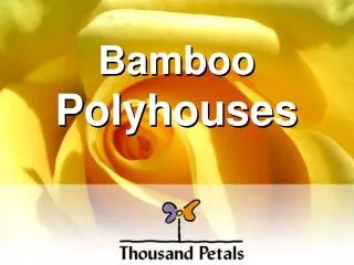 Bamboo Polyhouses