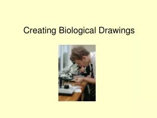Creating Biological Drawings