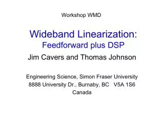 Wideband Linearization: Feedforward plus DSP