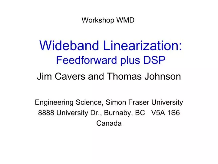 wideband linearization feedforward plus dsp