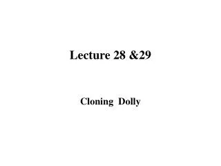 Lecture 28 &amp;29