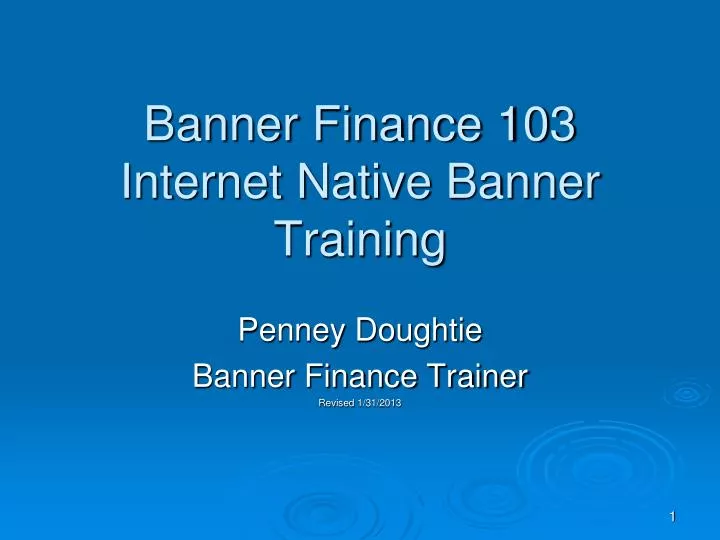 banner finance 103 internet native banner training