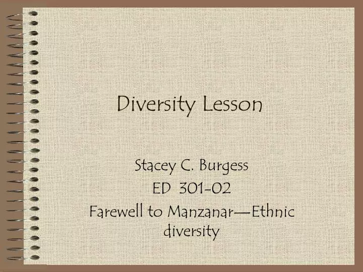 diversity lesson