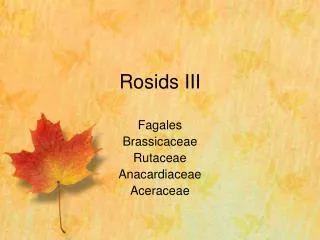 Rosids III