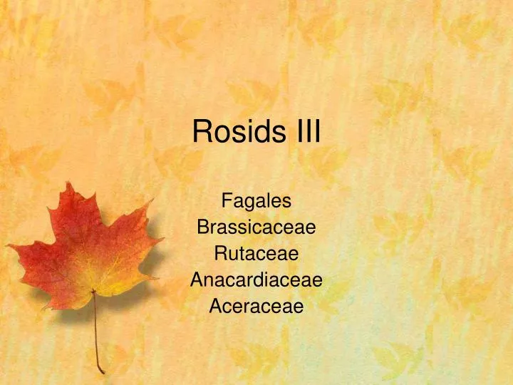 rosids iii