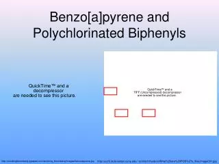 Benzo[a]pyrene and Polychlorinated Biphenyls