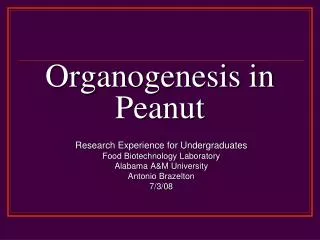Organogenesis in Peanut