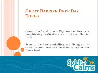 Great Barrier Reef Day Tours