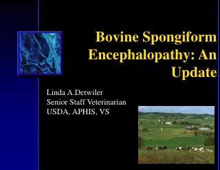 Bovine Spongiform Encephalopathy: An Update
