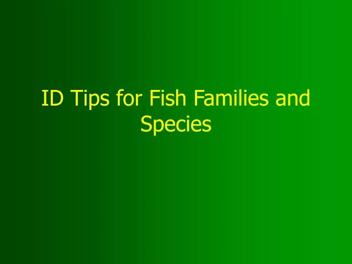 id tips for fish families and species
