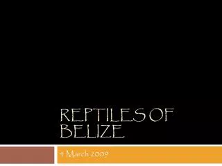 Reptiles of Belize