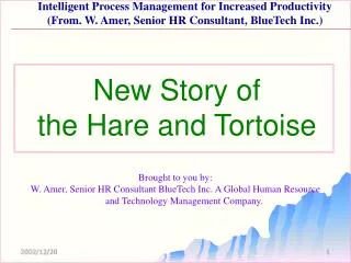 Tortoise Story