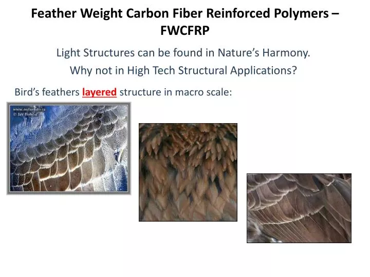 feather weight carbon fiber reinforced polymers fwcfrp