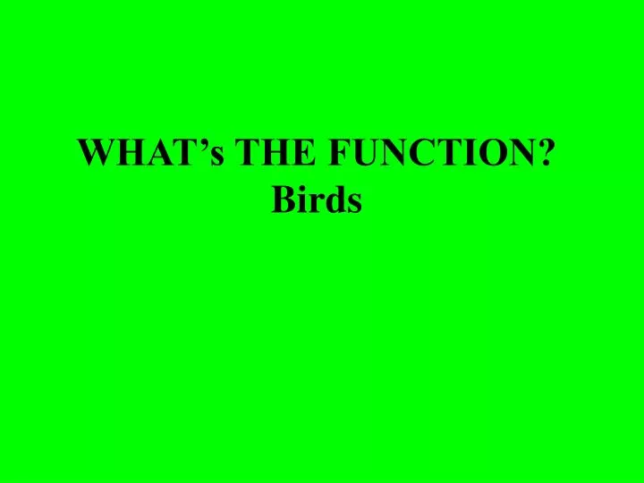 what s the function birds