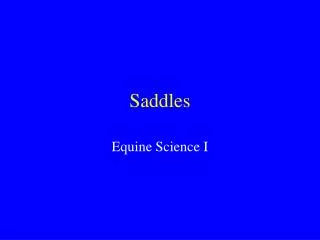 Saddles