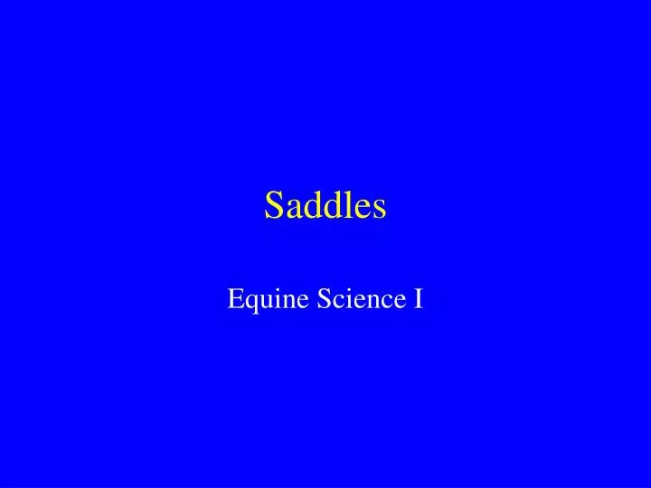 saddles