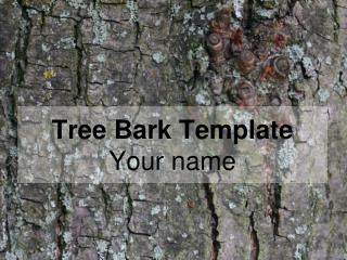 Tree Bark Template Your name