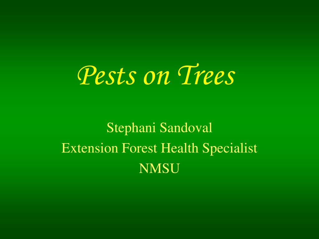 PPT - Pests on Trees PowerPoint Presentation, free download - ID:205789