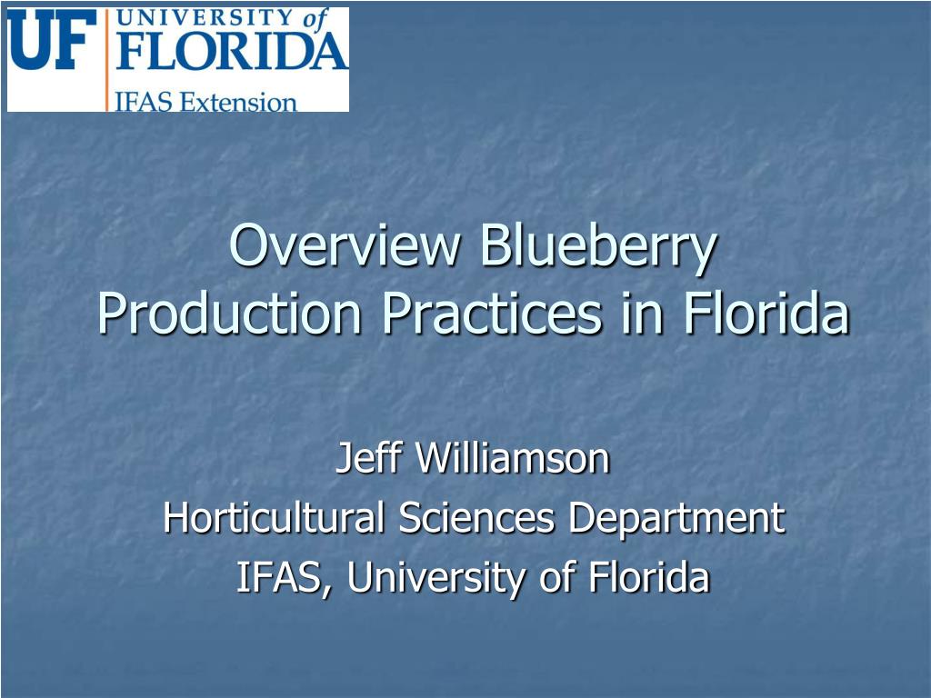 PPT - Overview Blueberry Production Practices in Florida PowerPoint ...