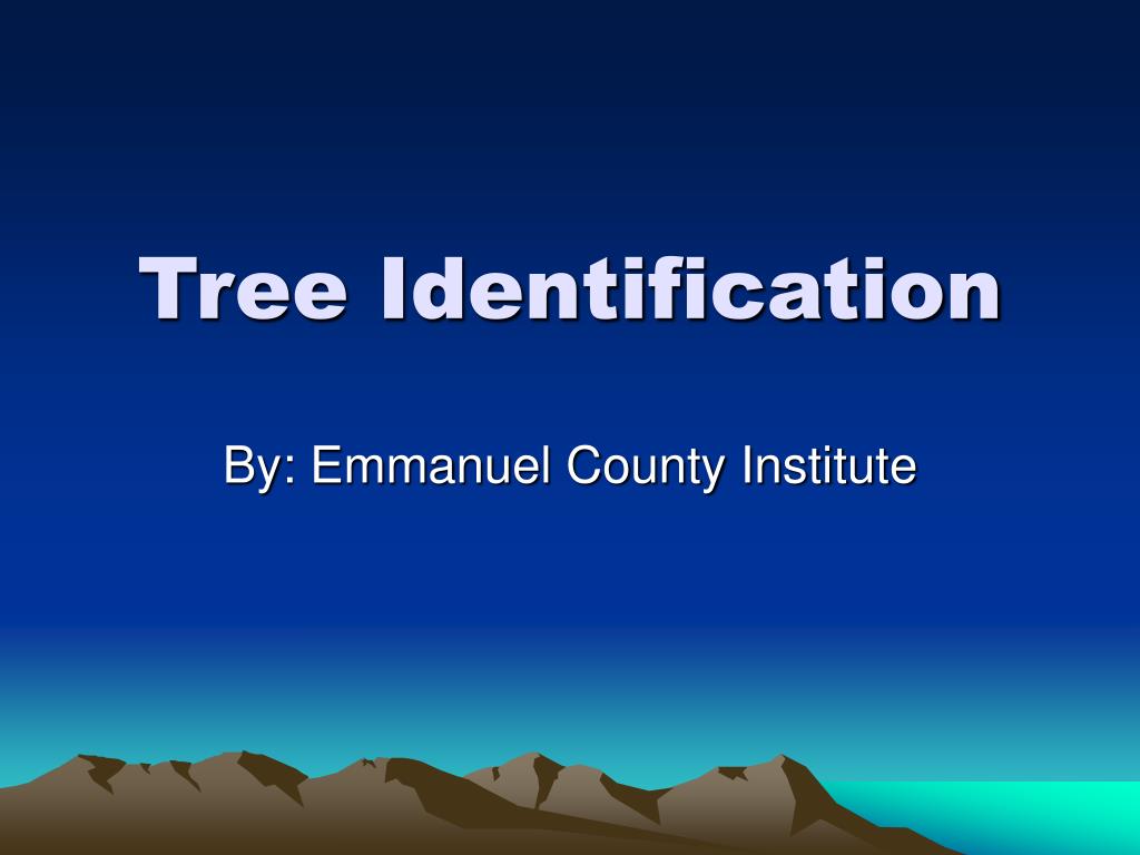 PPT - Tree Identification PowerPoint Presentation, free download - ID ...