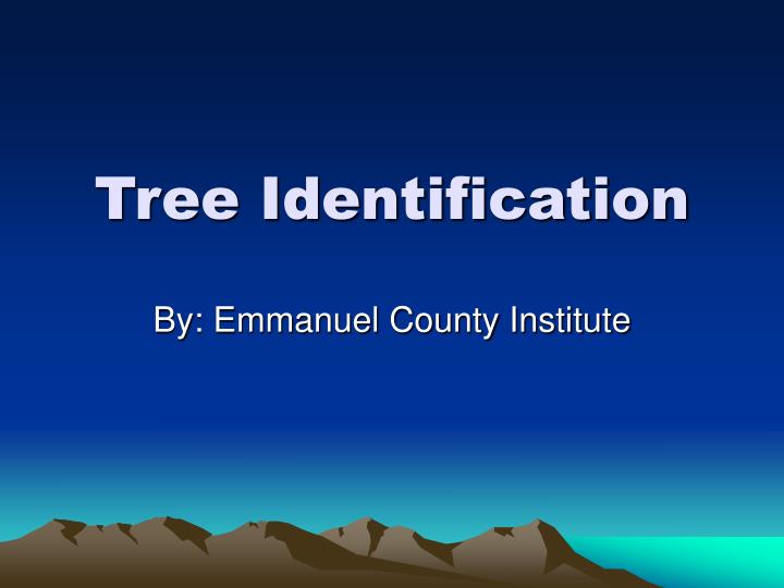 tree identification