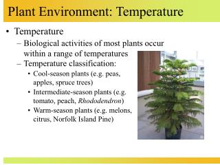 Plant Environment: Temperature