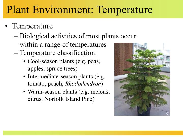 plant environment temperature