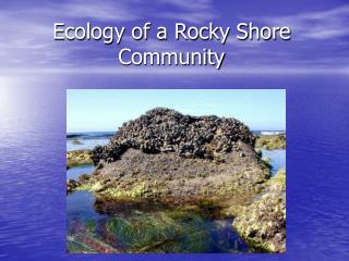 Ecology of a Rocky Shore Community