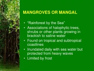 MANGROVES OR MANGAL