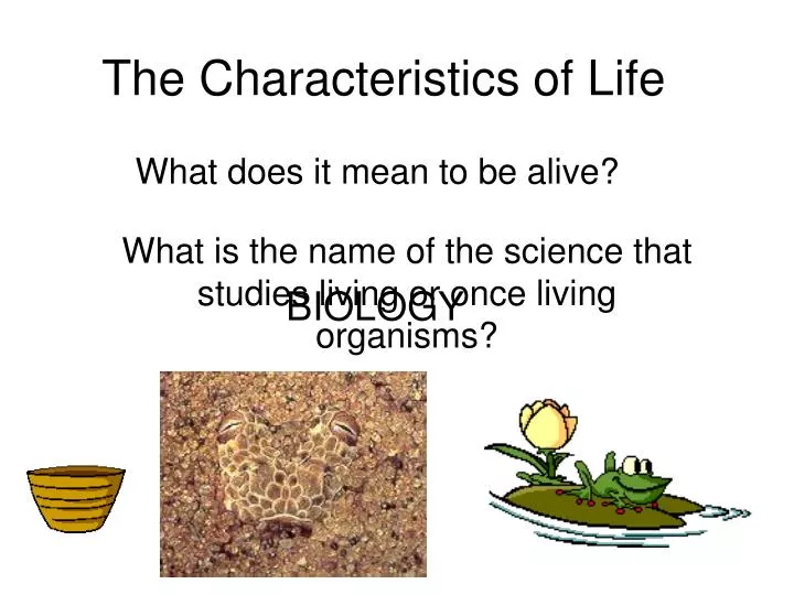the characteristics of life