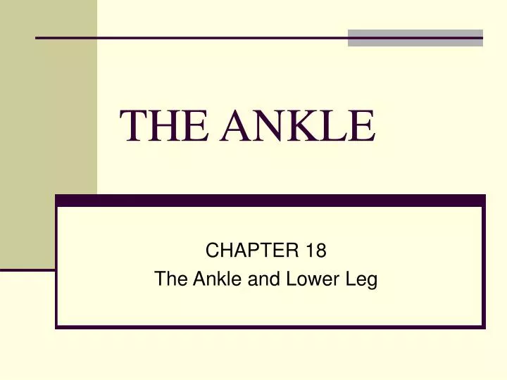 the ankle