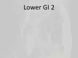 Lower GI 2