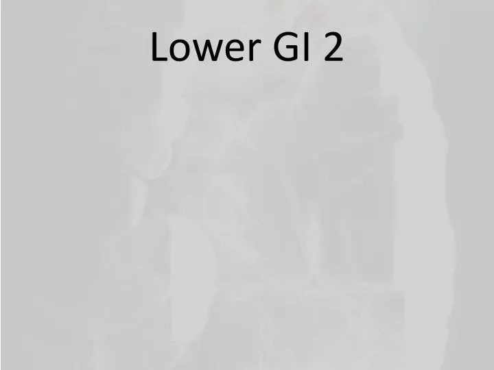 lower gi 2