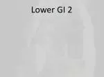 Lower GI 2 - slide 1