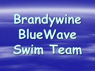 Brandywine BlueWave Swim Team
